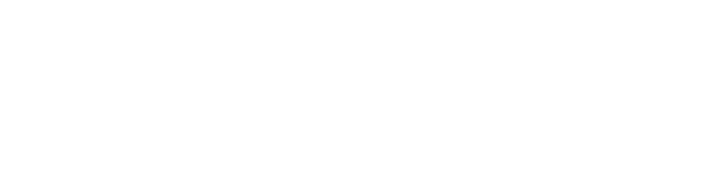 LOGO HORIZONTAL SITE