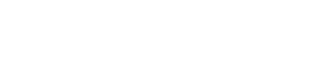 LOGO HORIZONTAL SITE